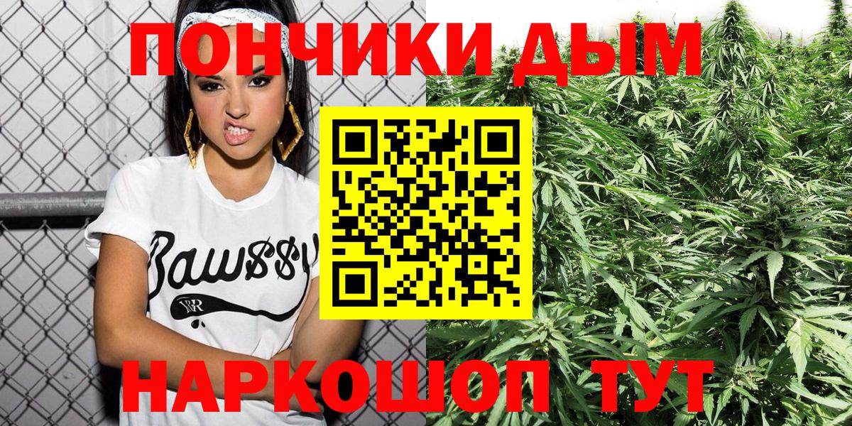 Бошки Шишки конопля Чистополь